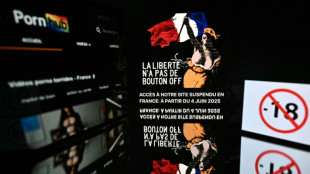 Cinq sites pornographiques ont pris des mesures de vérification d'âge