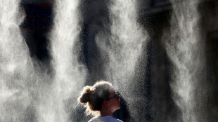 Canicule en Europe: l'ONU juge "possible" qu'il s'agisse d'une vague de chaleur record