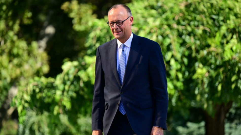 Merz zu Richterwahl: Von AfD oder Linkspartei müssten Abgeordnete zustimmen