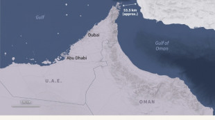 Japan not currently mulling maritime ops despite Trump pressure over Hormuz
