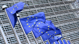 Climat: l'Europe en quête d'un compromis de dernière minute avant la COP