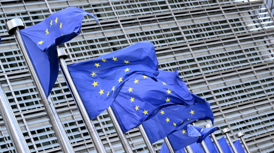 Treffen von europäischen Außenministern und Chefdiplomaten der Westbalkan-Staaten