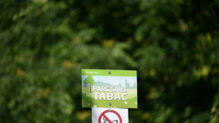 Plages, parcs, abords d'école... la cigarette interdite à compter du 1er juillet