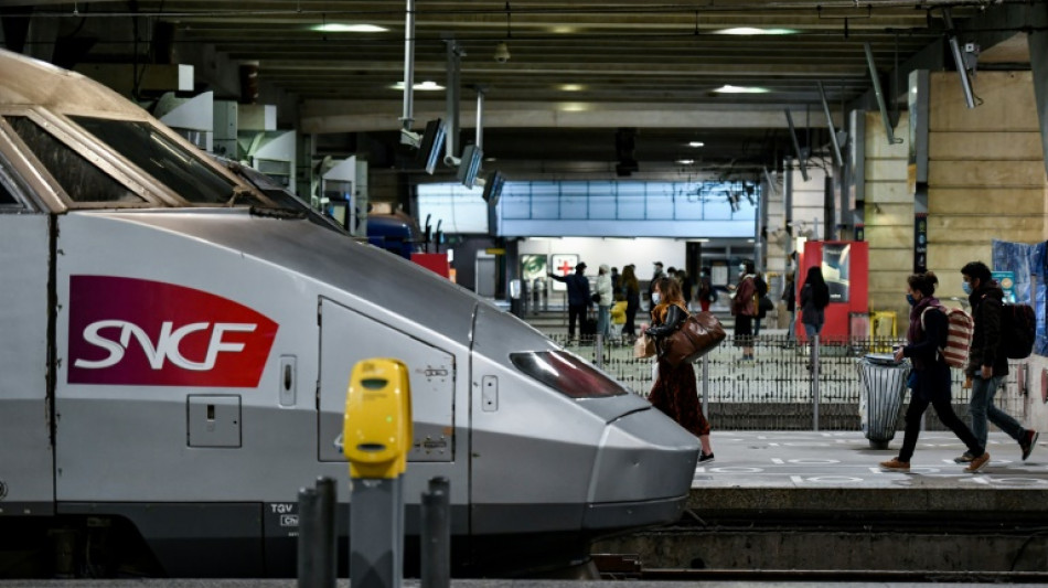 Votre chat est sous un TGV? La SNCF lui donne désormais 20 minutes