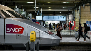 Votre chat est sous un TGV? La SNCF lui donne désormais 20 minutes