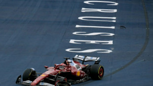 F1 - GP du Br&eacute;sil: Leclerc contraint &agrave; l'abandon, Piastri sanctionn&eacute;