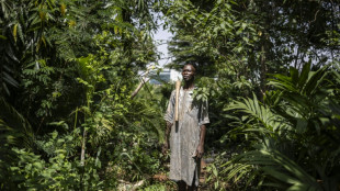 Dans la capitale nigériane, les fermes urbaines menacées par la pression immobilière