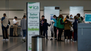 Colombia reanuda los vuelos de deportaci&oacute;n desde EEUU antes del encuentro Petro-Trump