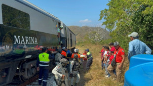 Al menos 13 muertos y 98 heridos por accidente ferroviario en el sur de M&eacute;xico