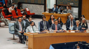 Consiglio Sicurezza Onu condanna i raid dell'Iran contro i Paesi del Golfo