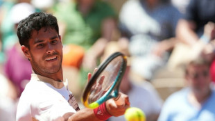 Vallejo apologises for criticising woman umpire at French Open