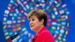 Los países deben aprovechar al máximo el nuevo mundo multipolar, dice directora del FMI