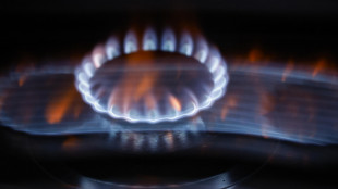 Il prezzo del gas apre in calo a 32,52 euro