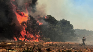 Incendio nell'isola greca di Zante, evacuati insediamenti