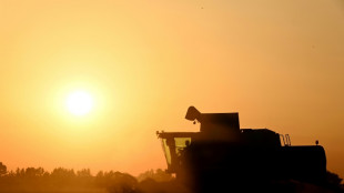 Agriculture: le Parlement adopte la loi Duplomb-Menonville et la réintroduction sous conditions d'un pesticide