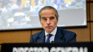 IAEA board meets over Ukraine nuclear safety concerns