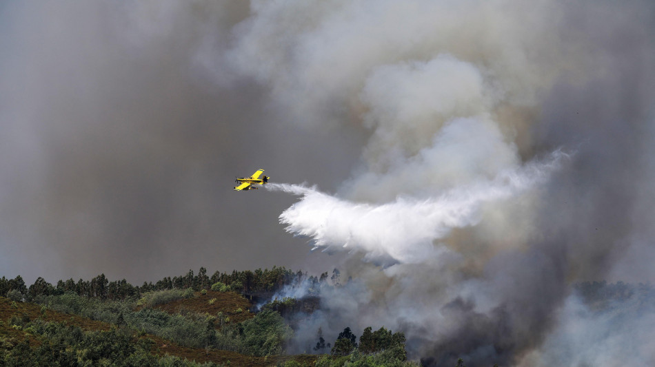 Incendi in Portogallo, quest'anno già arrestate 26 persone