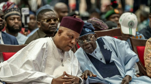Major Nigeria police reform edges forward with senate approval