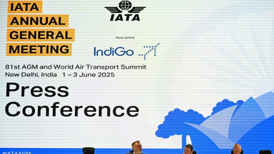 Les compagnies aériennes moins optimistes pour 2025, face à des "vents contraires"