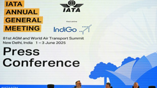 Les compagnies aériennes moins optimistes pour 2025, face à des "vents contraires"