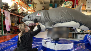 I produttori di attrazioni, 'mai avuto aiuti, aziende chiudono'