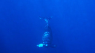 Trump veut ouvrir l'extraction minière sous-marine en eaux internationales, un coup de force