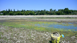 Drought threatens irrigation in northern Italy