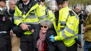 Mehr als 90 Festnahmen bei pro-pal&auml;stinensischer Demonstration in London