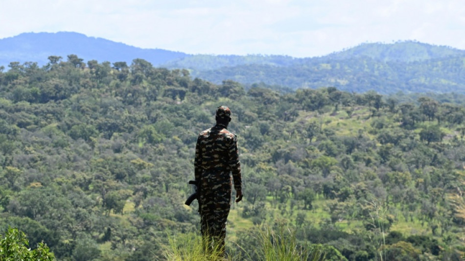Pillaged I.Coast nature reserve on the mend after crisis decade