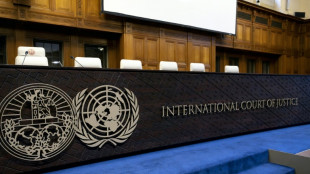 CIJ: Israël utilise le blocage de l'aide comme "arme de guerre" à Gaza, selon le représentant palestinien