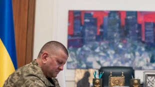 Wsj,ex capo ucraino Zaluzhny dietro sabotaggio Nord Stream