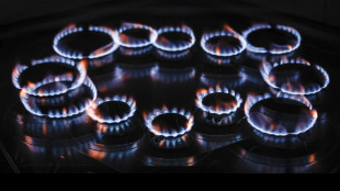 Il gas chiude in ribasso sopra i 28 euro al Ttf di Amsterdam