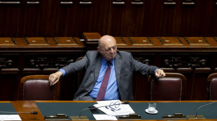 Pichetto, piano da 9,3 miliardi sostegno a famiglie-imprese