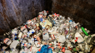 Le recyclage du plastique stagne à moins de 10% des volumes produits dans le monde, selon une étude