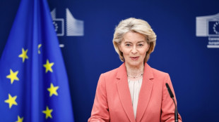 Mercosur: l'UE va appliquer l'accord de fa&ccedil;on provisoire au grand dam de la France