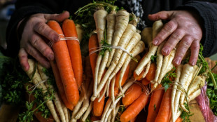 Vegetarischer Wolf aus franz&ouml;sischem Supermarkt-Werbespot geht viral