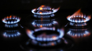 Il gas resta in rally (+40%) a 45 euro al Megawattora