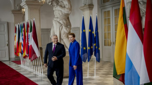 Orban: Ungarn hat "keine Alternativen" zu russischem Öl