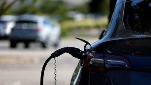 Tesla encore en perte de vitesse au deuxième trimestre