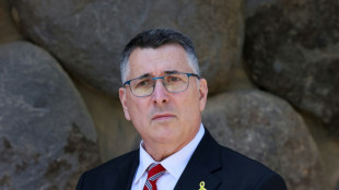 El canciller de Israel dice que el reconocimiento de un Estado palestino implicará "acciones unilaterales"