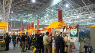 Karbon-X y Directions Group unen sus fuerzas para desarrollar un proyecto de energía solar